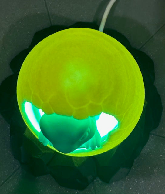 Dino Egg Lamp